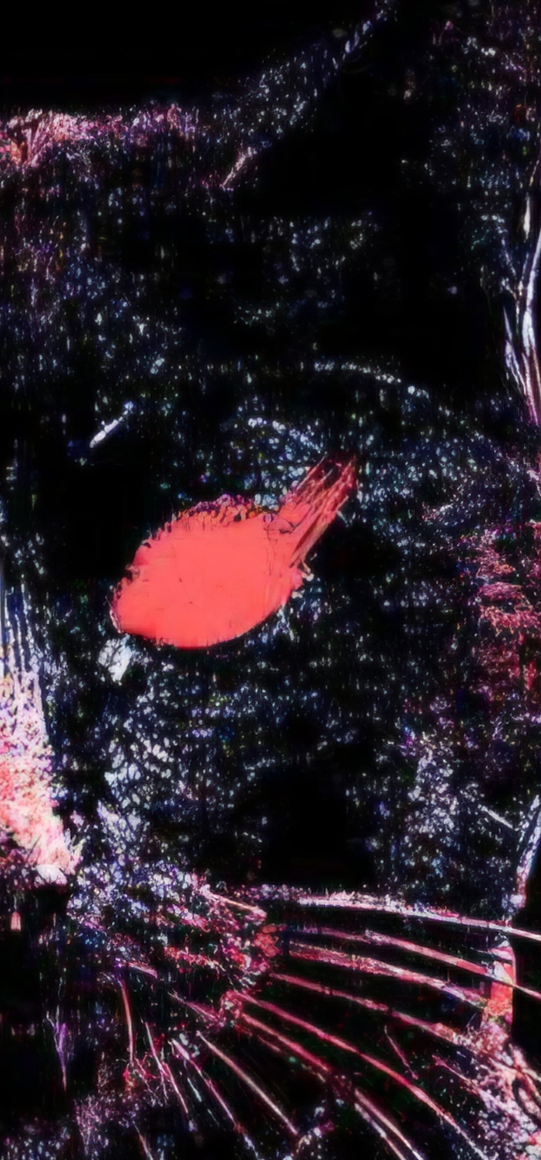 Revenant I: Reanimation