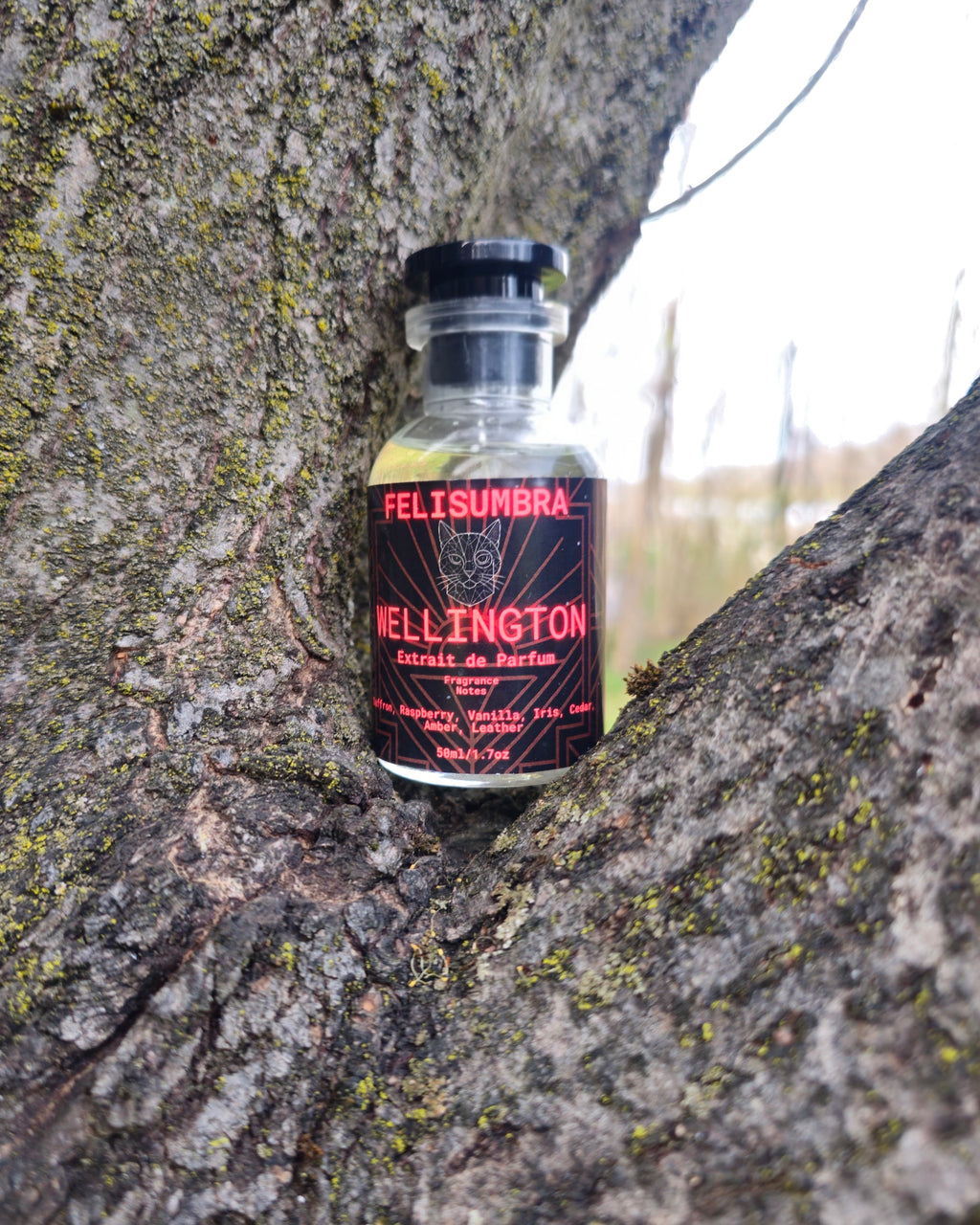 Wellington - Extrait de Parfum (Raspberry • Amber • Leather)